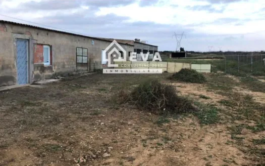 Nave con terreno en venta en La Salzadella