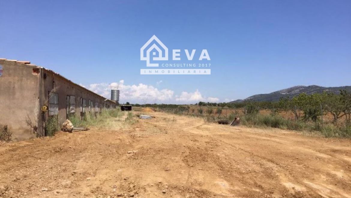Nave con terreno en venta en La Salzadella - foto 7 | Inmobiliaria en Castellón